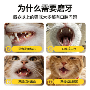 Jouet à mâcher en éponge Loofah pour chatons, soins dentaires, ensemble de jouets pour animaux d'intérieur QW10411 - Product Image 5