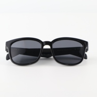Lunettes Audio Intelligentes en Gros avec Traducteur IA, Audio Ouvert, Plus de 130 Langues, Sans Caméra, Idéales pour Réunions et Voyages