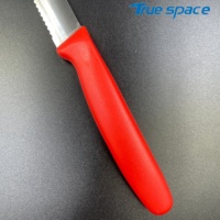 Couteau à fruits et légumes rouge dentelé pour la cuisine