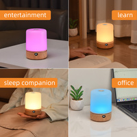 Lampe de bureau intelligente à capteur tactile 2026, couleurs RGB, veilleuse, lampe de chevet rechargeable par USB, contrôle tactile à intensité variable