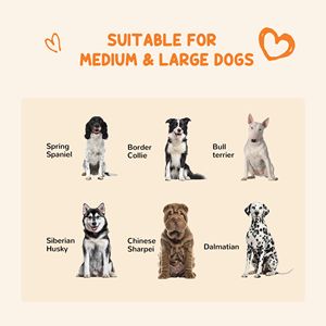 DB-Perrera grande y mediana para perros, tienda de campaña para mascotas al aire libre de 9,3x4,6x5,2 - Product Image 4