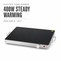 Mini chauffe-plats électrique 400W, plaque chauffante en acier inoxydable pour fêtes, plateau chauffant de comptoir pour buffet, contrôle de la température