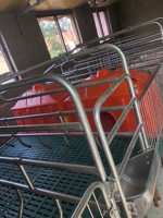 2022 Offre Spéciale D'élevage Stands De Galvanisé Cage De Porc Porcine Matériel Agricole Truie mise bas Caisse