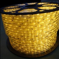 Corde lumineuse Led étanche pour l'extérieur, 220V, 24V, 12V, ronde, 2 fils, 13mm
