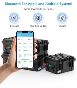 12V <span class=keywords><strong>24V</strong></span> 48V 80ah 100ah 120ah 150ah 200ah <span class=keywords><strong>300ah</strong></span> <span class=keywords><strong>Batería</strong></span> de <span class=keywords><strong>litio</strong></span> impermeable portátil LifePO4 Paquete de <span class=keywords><strong>batería</strong></span> de maleta - Product Image 6