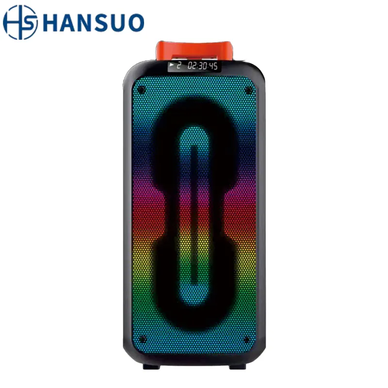 HANSUO Dual altoparlante portatile da 8 pollici partybox altoparlante amplificatore per chitarra bluetooth Wireless HS-TD08D3