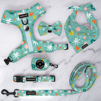 Ensemble collier et laisse pour chien avec logo personnalisé, accessoires pour animaux de compagnie ajustables et personnalisés pour chiens