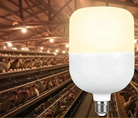 Ampoules LED E27 blanc chaud 120W