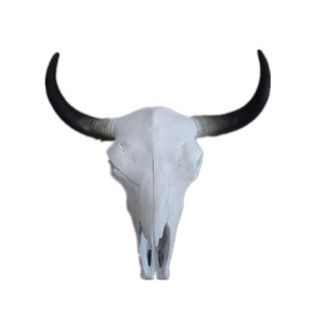 Tanduk Rusa Mini Hitam dan Emas Metalik, Tengkorak Rusa Palsu dari Resin, Patung Taksidermi, Dekorasi Dinding Tanduk Rusa, Seni Tengkorak - Product Image 3