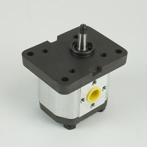 Bomba de engranajes-Modelo 1L03DE10B-SMP Bomba de engranajes de alto rendimiento en aluminio diseñada para sistemas hidráulicos móviles - Product Image 1