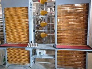 Nuovo Modello Popolare Sistema di Raccolta Uova Completamente Automatico per Gabbie a Telaio, Attrezzatura per Allevamento con Zincatura a Caldo Precisa - Product Image 3