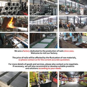 CAIYI Nail produce OEM 18 Gauge serie F sofà Pin in acciaio zincato pneumatico Brad testa chiodi per sparachiodi sparachiodi - Product Image 6