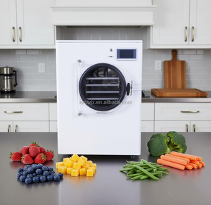 جهاز تجفيف بالتجميد منزلي صغير سعة 4 كجم و5 كجم و6 كجم، آلة تجفيف بالتفريغ للزهور واللحوم، معتمد من CE - Product Image 3