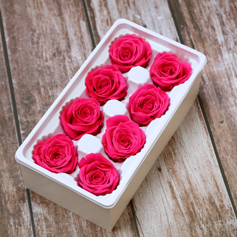 Rose ZL-YSH-08-16