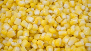 MZ-368 Sweet <strong>Corn</strong> Maize Peeling <strong>Machine</strong> <strong>Corn</strong> Threshing <strong>Machine</strong> <strong>Corn</strong> Sheller <strong>Machine</strong> - Product Image 6