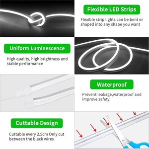 <span class=keywords><strong>Prix</strong></span> de gros 5M 10M Bande lumineuse LED néon en silicone IP67 RGB Rgbic 24V Flexible et souple - Product Image 4