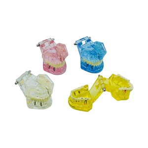 Modelo de Entrenamiento de Implantes Dentales (1 Unidad) con Dientes Removibles y Demostración de Patología para Práctica de Implantes y Restauración de Puentes - Product Image 1