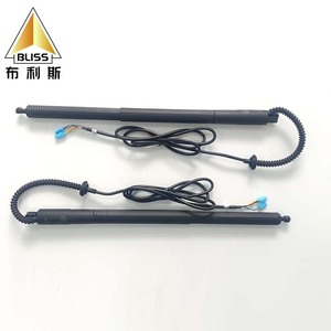 <span class=keywords><strong>Vérin</strong></span> hydraulique <span class=keywords><strong>de</strong></span> <span class=keywords><strong>hayon</strong></span> électrique pour BYD Tang 2018-2024 - Product Image 1