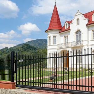 Postes de Acero Galvanizado de Alta Calidad y Económicos, Paneles de Cerca, Barandilla Circular, Puerta de Edificio, Estilo de Diseño de Arte Moderno - Product Image 2