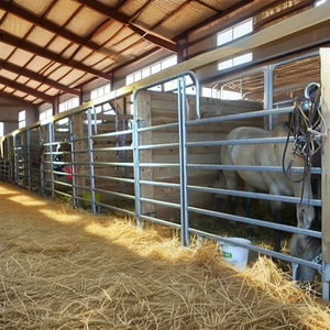 Enceintes galvanisées à chaud pour chevaux Panneaux de clôture d'enclos ronds portables de sécurité bon marché pour chevaux - Product Image 3