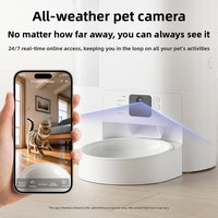 Nouvelle Fontaine à Eau et Distributeur Automatique de Nourriture pour Chat en Céramique et Acier, Détachable et Personnalisable, Fournitures d'Alimentation pour Animaux de Compagnie