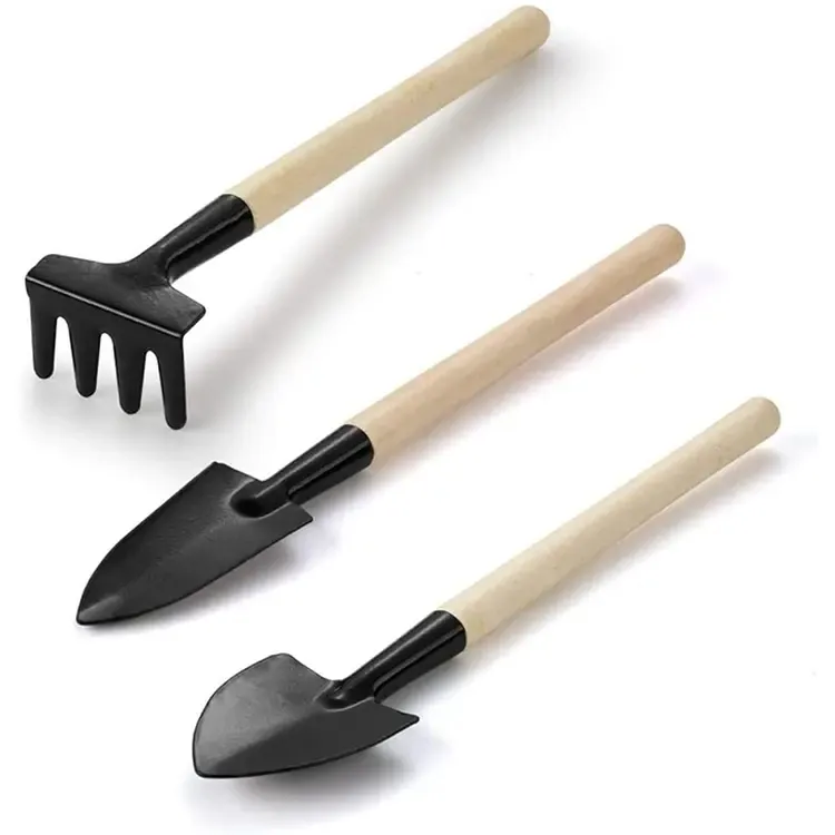 Kit de herramientas de mano de acero al carbono para jardinería, miniherramienta de jardinería de madera para suculentas, 3 unidades