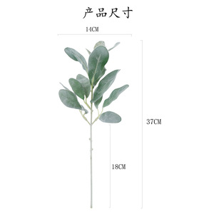 Feuilles d'eucalyptus artificielles Tainen, 37 cm, bouquet vert floqué, fleurs en soie, décorations de mariage - Product Image 4