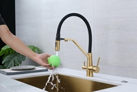 Robinet de cuisine moderne en acier inoxydable avec filtre à eau pour hôtels et hôpitaux, double poignée chaud/froid, cartouche céramique, pour une eau pure
