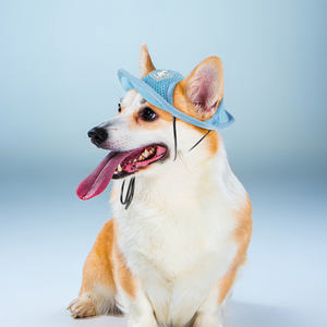 Elegante Pet <span class=keywords><strong>Dog</strong></span> <span class=keywords><strong>Hat</strong></span> pano respirável macio com dois grandes buracos orelha estilo sólido - Product Image 3