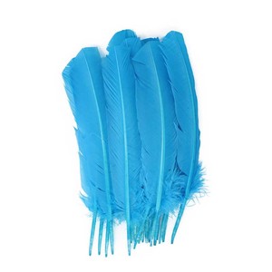 Bán Buôn 25-30 Cm Thổ Nhĩ Kỳ Quill Lông Cho Carnaval Samba Khiêu Vũ Trang Phục Mũ Ba Lô - Product Image 5