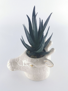 Pot en <span class=keywords><strong>céramique</strong></span> émaillée verte jardinière ornements d'<span class=keywords><strong>animaux</strong></span> décor à la maison <span class=keywords><strong>jardin</strong></span> plante succulente Pot Kit de conception <span class=keywords><strong>pour</strong></span> Pots de fleurs jardinières - Product Image 4