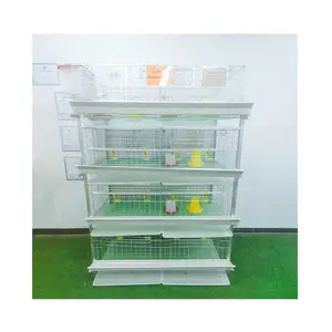 4 Tiers Broiler Cage H Type Broiler Battery Automatic drinking Cage System by China anping shuxin company