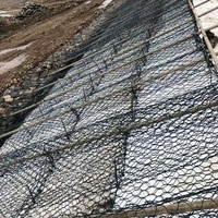 Prix d'usine Gabion noir revêtu de PVC, conception de boîte de gabion pour le Kenya