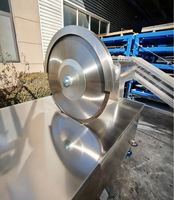 Équipement d'abattage de porcs robuste pour abattoir, scie sectionnelle horizontale standard industrielle pour carcasses, machinerie d'abattage de porcs