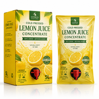 Op maat gedrukte aseptische mango puree zak in doos 10L foodservice fruit puree verpakking natuurlijke mango pouch met tapventiel