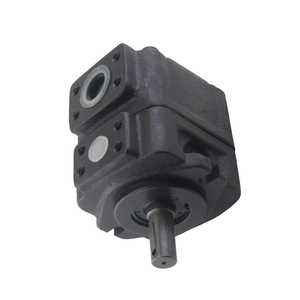 Pompe hydraulique à palettes simples DVQ20-14-FRAL - Série DVQ20, haute performance pour systèmes hydrauliques industriels - Product Image 1