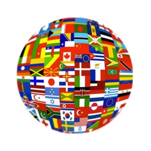 Logística de Batata en Canadá, Transporte Marítimo y Aéreo LCL+Express, Envío Internacional de China a Canadá - Product Image 5