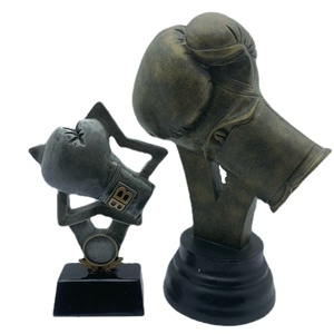 Meilleure vente, vente en gros, Design personnalisé, bon marché, haute mode, trophée de boxe en récompense (boxe) - Product Image 1