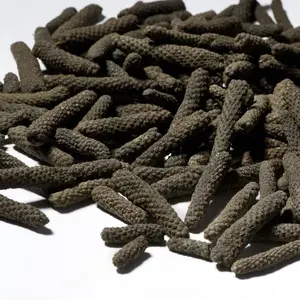 Pimienta larga Piper Longum de calidad superior utilizada para problemas gastrointestinales del proveedor indio de Piper Longum - Product Image 2