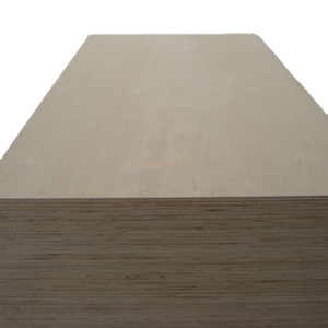 Pannello di compensato di <span class=keywords><strong>betulla</strong></span> naturale 12mm 5x10 dalla fabbrica di Linyi Chanta - Product Image 1