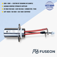 أسلاك PTFE عالية الجهد 600 فولت مقاومة للحرارة العالية والمواد الكيميائية، نحاسية لنظام محرك السيارات الكهربائية، تصنيع حسب الطلب