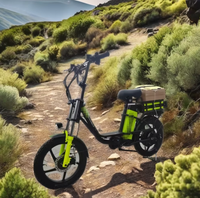 Vélo électrique à double batterie haute puissance de 18 pouces avec capteur de vitesse 60V/15AH 500W Support électronique intelligent Grande capacité de charge