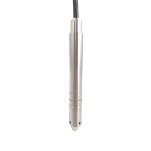 Huatian CYB3129 משדר מפלס טבול מנירוסטה <span class=keywords><strong>4</strong></span>~<span class=keywords><strong>20mA</strong></span> קוטר חיישן 19mm 0.1%F.S דיוק גבוה הגנה IP68 - Product Image 1