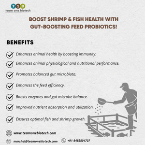 สารเสริมอาหารกุ้งโปรไบโอติกสำหรับการเพาะเลี้ยงสัตว์น้ำ - Product Image 1