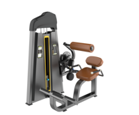 ASM-B1022 Banc de musculation dorsal en acier de haute qualité, Chaise romaine, Appareil d'extension dorsale à vendre