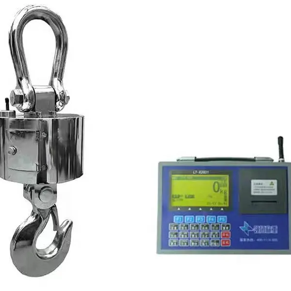 High Accuracy 1t 3t 5t 10t Industrial Electronic Remote Control Lifting Hook Crane Hanging Scales