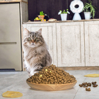 Makanan Anjing Kering Bebas Biji-bijian Tinggi Protein OEM - Kesehatan Sendi Peningkat Massa Otot 2.5kg Kemasan Grosir Label Pribadi Daging Sapi Ayam Tanpa Bahan Buatan