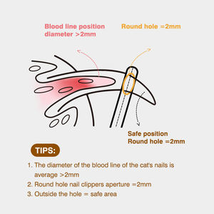 Coupe-ongles professionnel <span class=keywords><strong>pour</strong></span> animaux de compagnie avec garde de sécurité ciseaux en acier inoxydable chat <span class=keywords><strong>chien</strong></span> <span class=keywords><strong>pour</strong></span> fournitures de toilettage de soins des griffes - Product Image 2