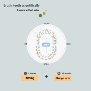 Bán Buôn Phim Hoạt Hình Trẻ Em Của Thông Minh Bàn Chải Đánh Răng Điện Bộ Nhớ Thông Minh Không Thấm Nước Răng Miệng Tùy Chỉnh Bàn Chải Đánh Răng Điện - Product Image 3