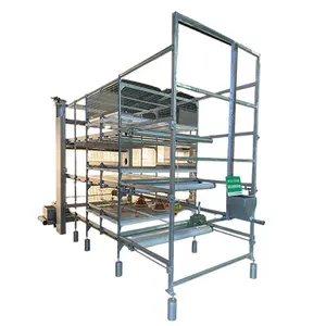 Hot Sale Galvanized Automatic Broilers Cage Poultry For Farming Equipment